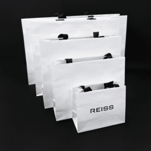 Generic Paper Bag